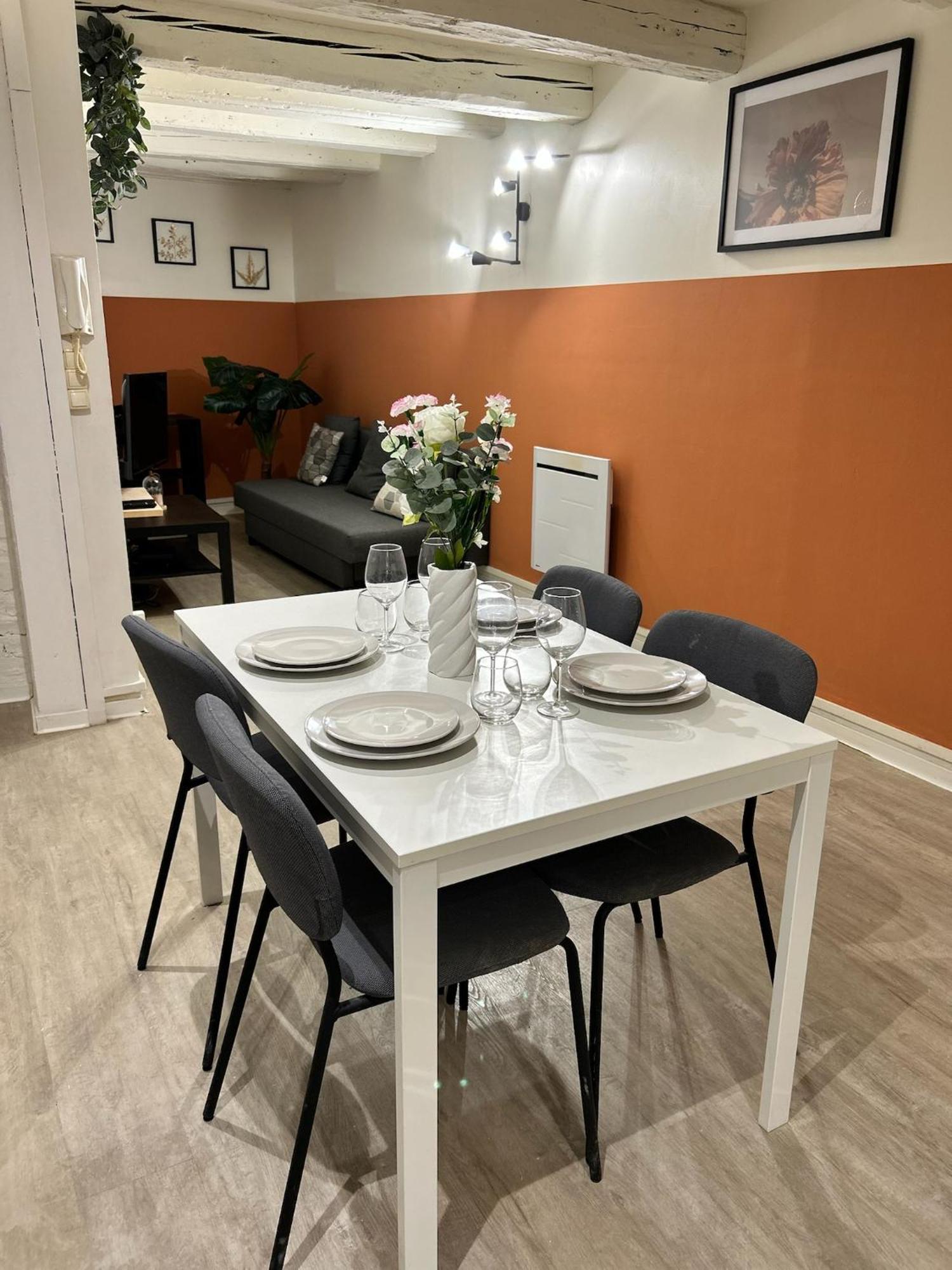 Bricks Stan Appartement Nancy